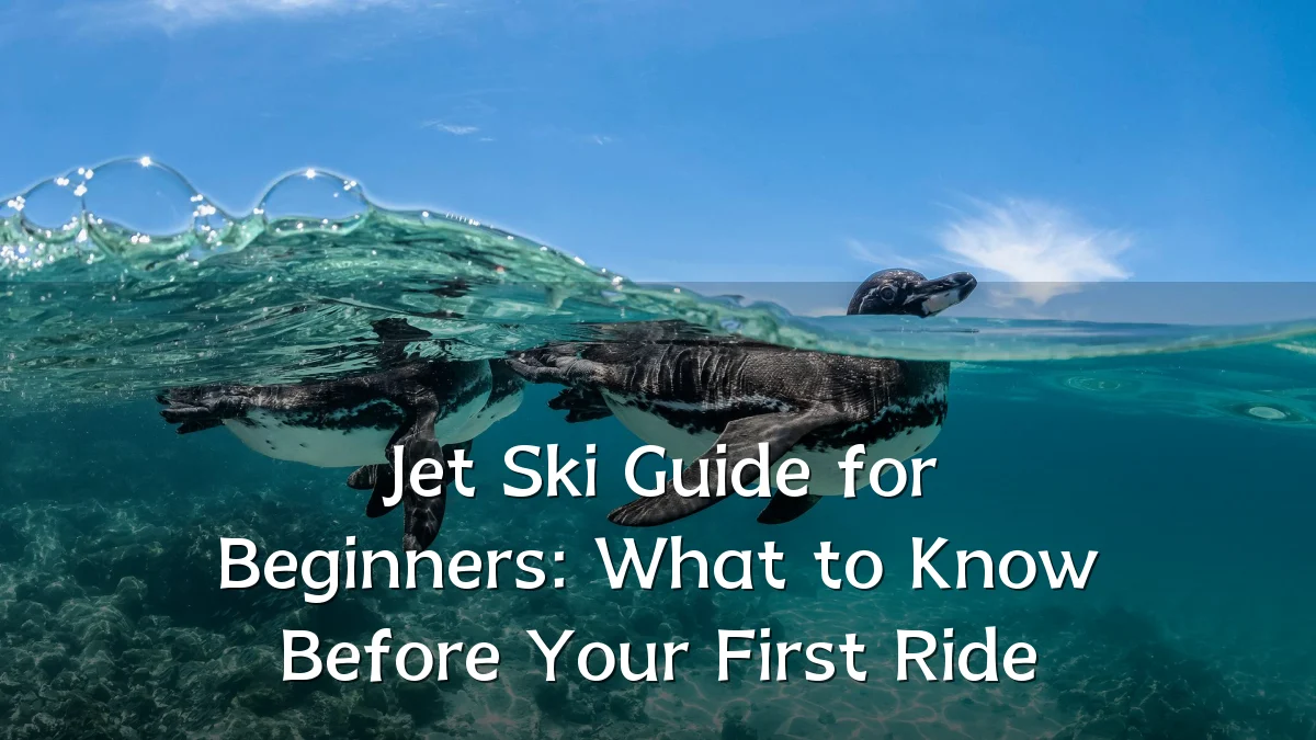Jet Ski Guide for Beginners: What to Know Before Your First Ride