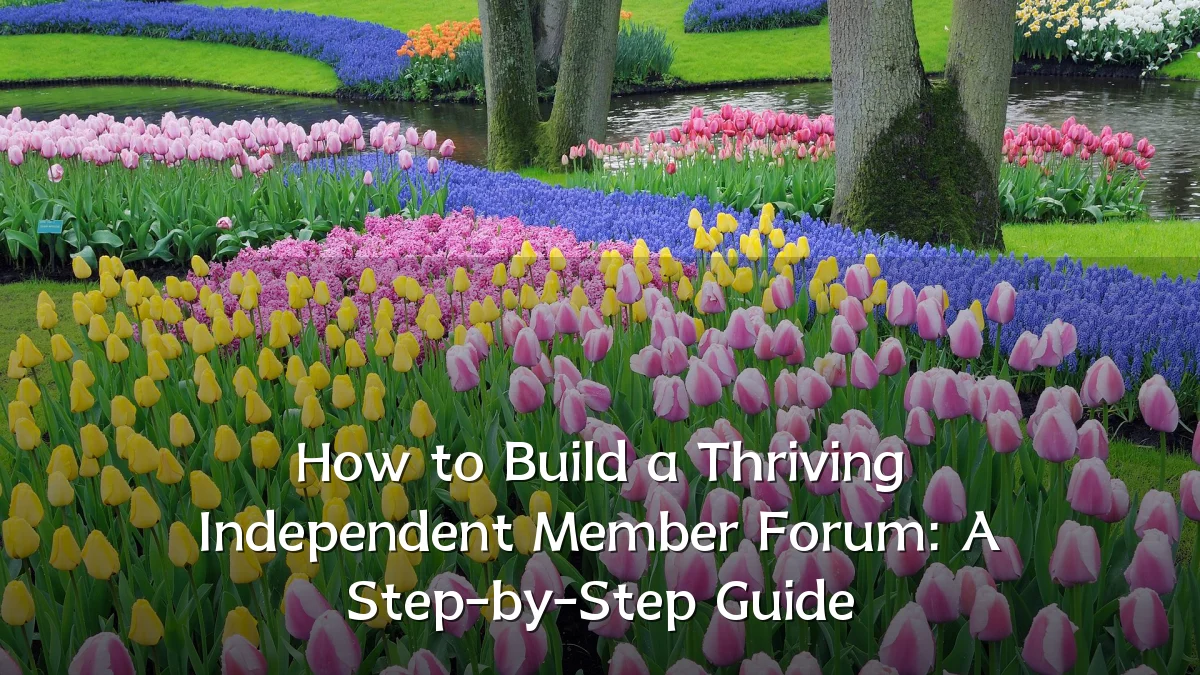 How to Build a Thriving Independent Member Forum: A Step-by-Step Guide