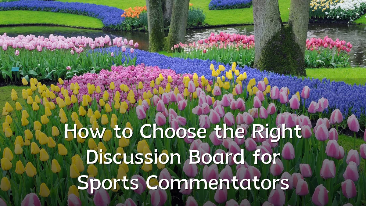 How to Choose the Right Discussion Board for Sports Commentators