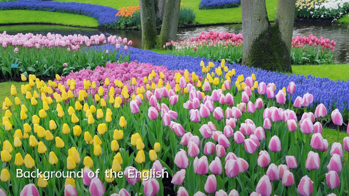 Background of the English