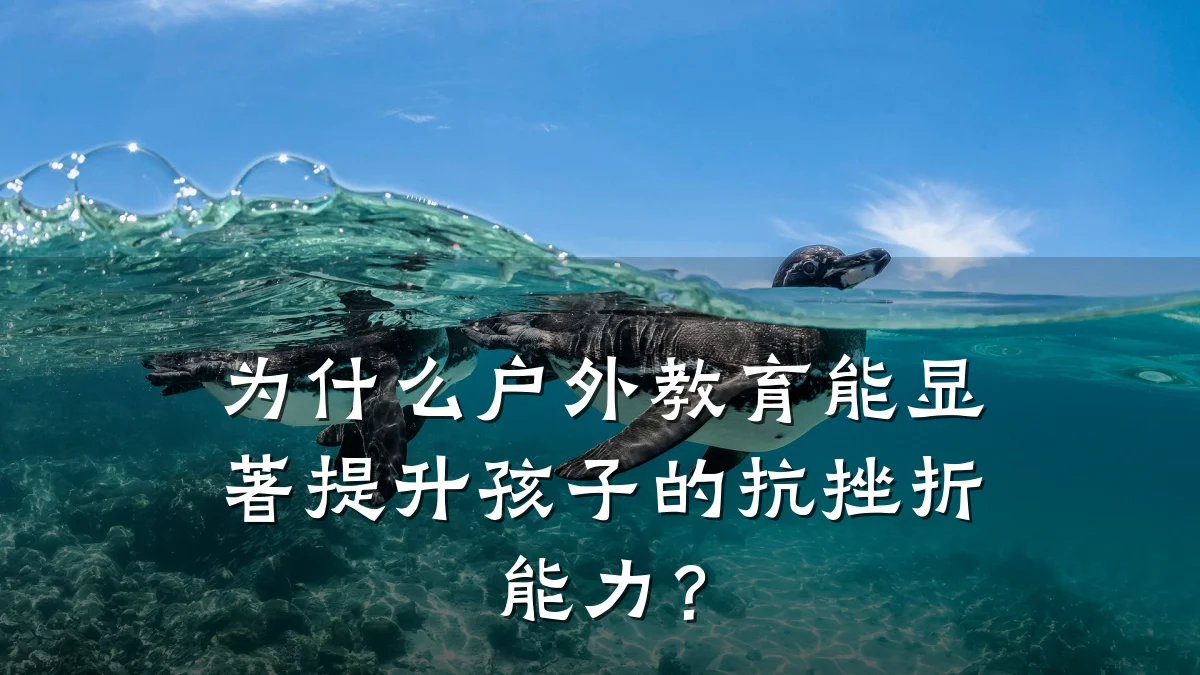为什么户外教育能显著提升孩子的抗挫折能力？