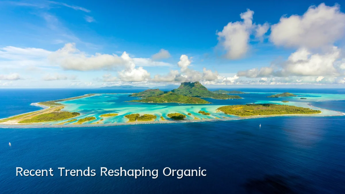 Recent Trends Reshaping Organic